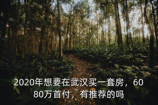 80萬在武漢怎么投資,80萬在武漢買什么樣的房住