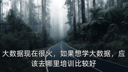 鄭州大數據哪里培訓好,鄭州前端培訓哪家好