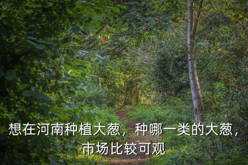 想在河南種植大蔥，種哪一類的大蔥，市場比較可觀