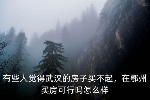 買房子買鄂州怎么樣,在鄂州買房可行嗎