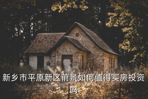 新鄉市平原新區前景如何值得買房投資嗎