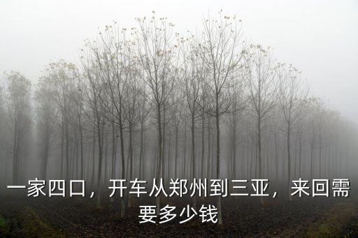 一家四口，開車從鄭州到三亞，來回需要多少錢