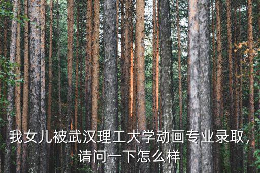 我女兒被武漢理工大學動畫專業錄取，請問一下怎么樣