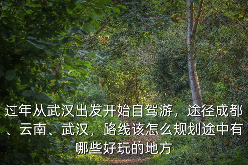 過年從武漢出發開始自駕游，途徑成都、云南、武漢，路線該怎么規劃途中有哪些好玩的地方