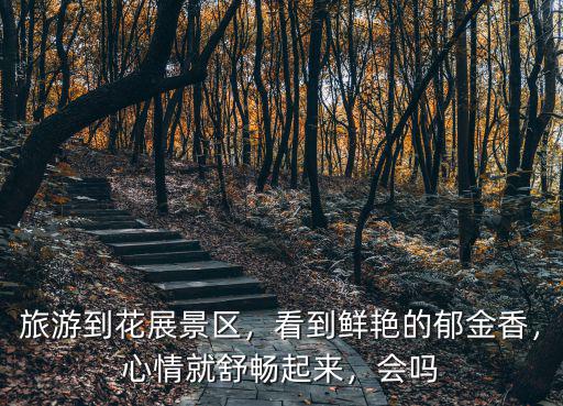 荊州郁金香花展怎么去,郁金香怎么養護