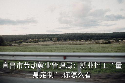 宜昌市西陵區勞動就業管理局怎么樣,宜昌市勞動就業管理局