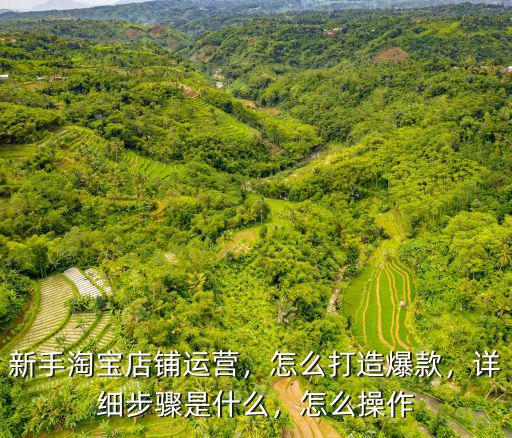 新手淘寶店鋪運營，怎么打造爆款，詳細步驟是什么，怎么操作