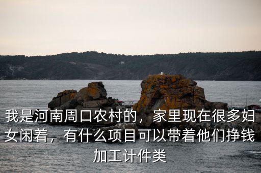 我是河南周口農村的，家里現在很多婦女閑著，有什么項目可以帶著他們掙錢加工計件類