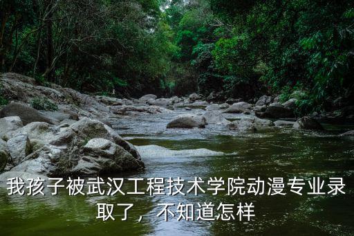 我孩子被武漢工程技術(shù)學(xué)院動(dòng)漫專業(yè)錄取了，不知道怎樣