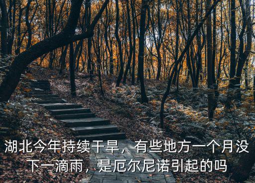湖北今年持續(xù)干旱，有些地方一個(gè)月沒下一滴雨，是厄爾尼諾引起的嗎