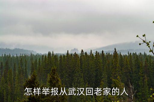 怎樣舉報從武漢回老家的人