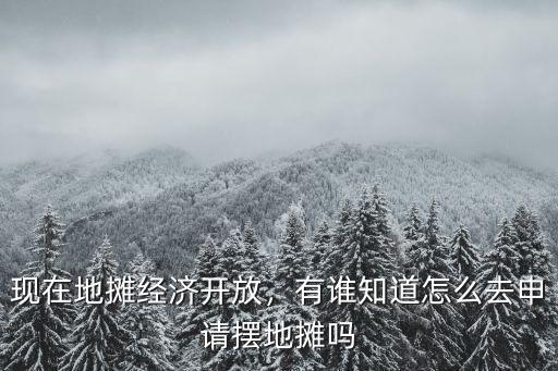 現在地攤經濟開放，有誰知道怎么去申請擺地攤嗎