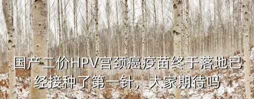 武漢國產宮頸癌疫苗怎么預約,打宮頸癌疫苗怎么預約