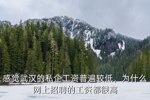 感覺武漢的私企工資普遍較低，為什么網上招聘的工資都很高