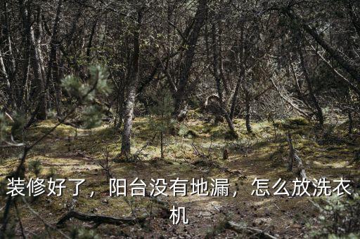 裝修好了，陽臺沒有地漏，怎么放洗衣機
