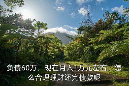 襄陽60萬怎么理財,怎么合理理財還完債款呢