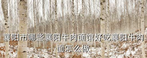 陳氏正宗襄陽牛肉面怎么樣,襄陽市哪些襄陽牛肉面館好吃