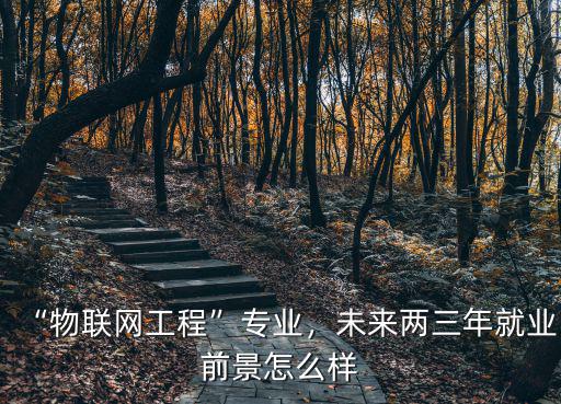 “物聯網工程”專業，未來兩三年就業前景怎么樣