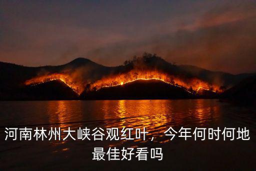 河南林州大峽谷觀紅葉，今年何時何地最佳好看嗎