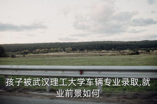 武漢理工大學mpacc就業怎么樣,武漢理工大學怎么樣