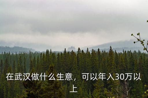 在武漢做什么生意，可以年入30萬以上