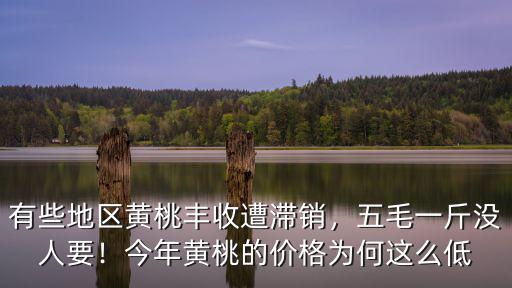 有些地區(qū)黃桃豐收遭滯銷，五毛一斤沒(méi)人要！今年黃桃的價(jià)格為何這么低