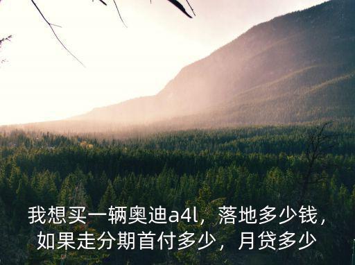 洛陽奧迪q2貸款月供多少,月供多少合適
