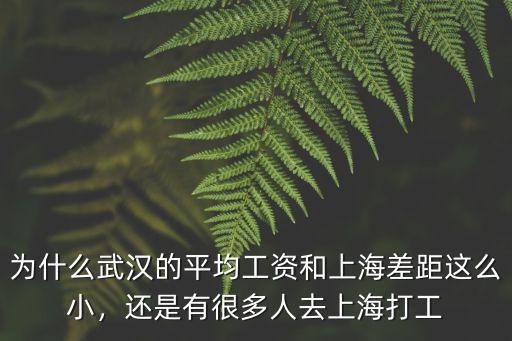 為什么武漢的平均工資和上海差距這么小，還是有很多人去上海打工
