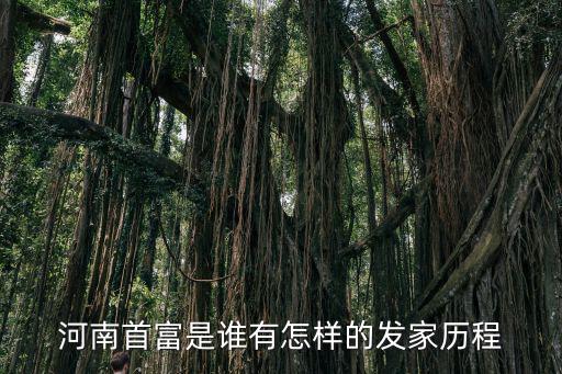 河南有多少千萬富豪,從河南走出的超級富豪不少