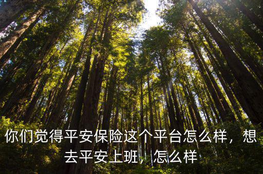 你們覺得平安保險這個平臺怎么樣，想去平安上班，怎么樣