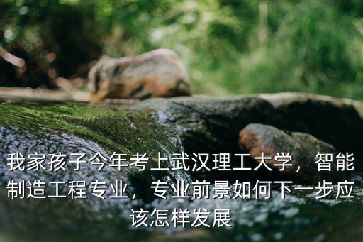 武漢工程大學測控專業怎么樣,武漢科技大學的測控專業怎樣