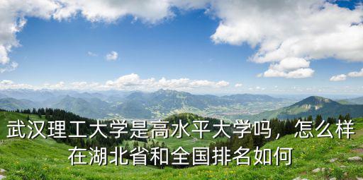武漢理工大學(xué)是高水平大學(xué)嗎，怎么樣在湖北省和全國(guó)排名如何