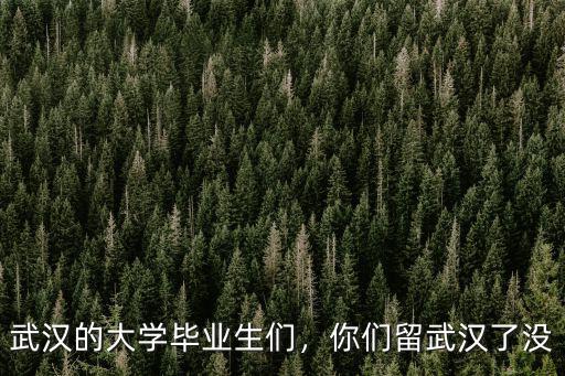 武漢的大學畢業生們，你們留武漢了沒