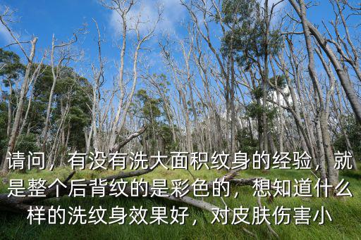 周口哪里洗紋身效果好,哪里可以洗紋身