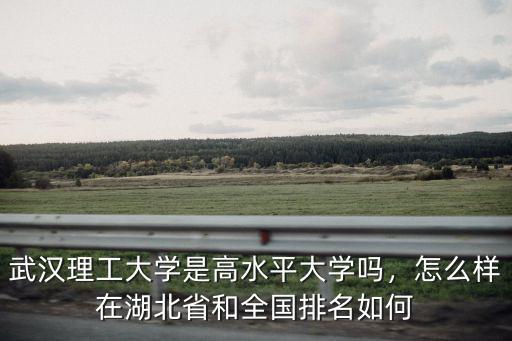 武漢理工大學李政穎教授怎么樣,武漢理工大學口碑怎么樣