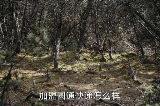 加盟圓通快遞怎么樣