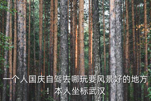 國慶一個人武漢怎么玩,一個人國慶自駕去哪玩
