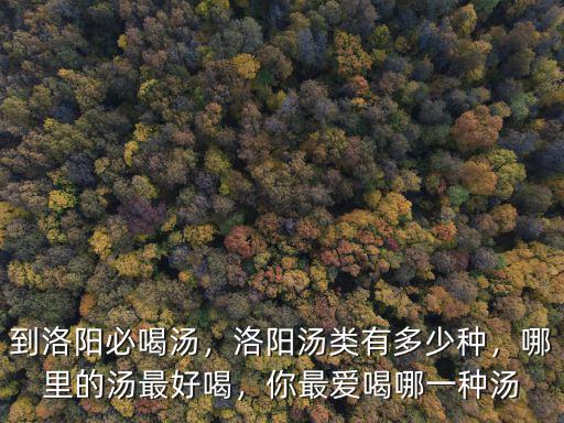 到洛陽必喝湯，洛陽湯類有多少種，哪里的湯最好喝，你最愛喝哪一種湯