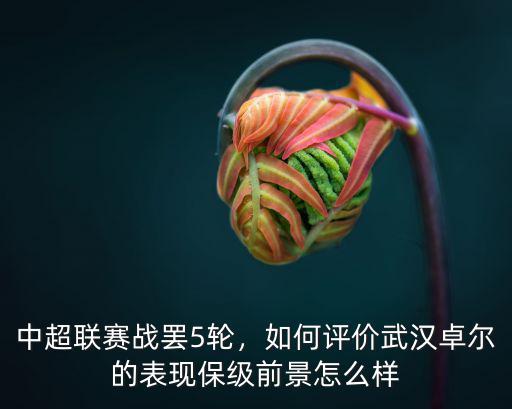 武漢卓爾數科怎么樣,保級前景怎么樣