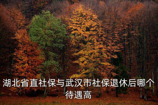 湖北省直社保與武漢市社保退休后哪個待遇高