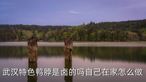 武漢特色鴨脖是鹵的嗎自己在家怎么做