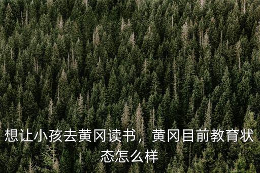 想讓小孩去黃岡讀書，黃岡目前教育狀態怎么樣