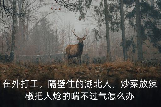 湖北人住我家隔壁怎么辦,隔壁住的湖北人