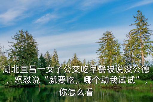 湖北宜昌一女子公交吃早餐被說沒公德，怒懟說“就要吃，哪個(gè)動(dòng)我試試”，你怎么看