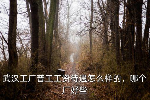 武漢工廠普工工資待遇怎么樣的，哪個廠好些