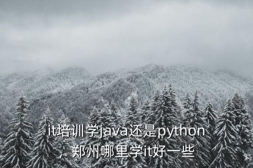 it培訓(xùn)學(xué)java還是python，鄭州哪里學(xué)it好一些