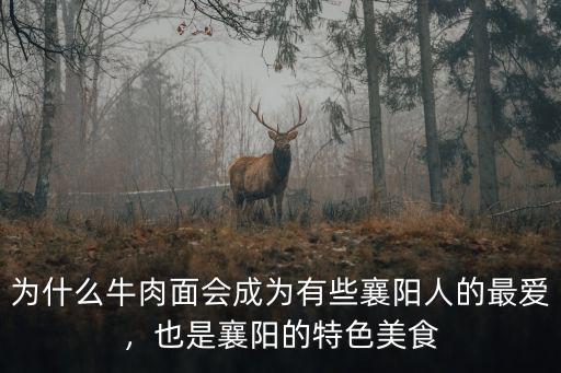 襄陽馬福記牛肉面怎么樣,襄陽市哪些襄陽牛肉面館好吃