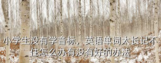 黃石幼兒英語單詞怎么學得好,幼兒學英語哪個軟件好