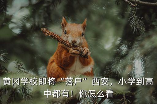 外地人怎么看黃岡學生,對此你怎么看