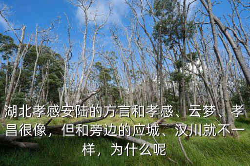 湖北孝感的口音怎么,湖北孝感安陸的方言和孝感